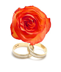 Wedding rings and a rose