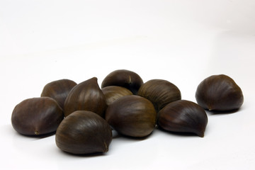Maronen 01