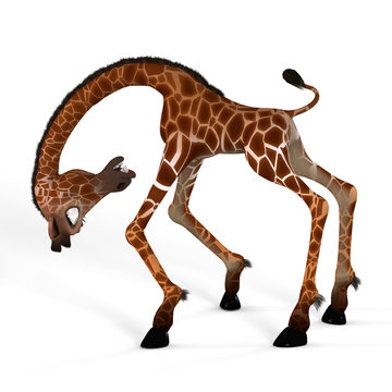 Rendered Image of a giraffe with Clipping Path