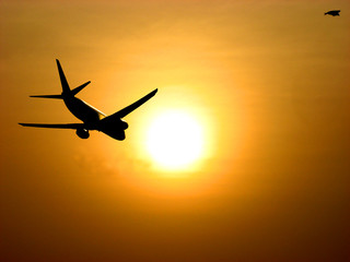 Flight into Sunset