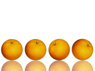 juicy oranges lineup on white
