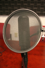 Microphone and wind screen