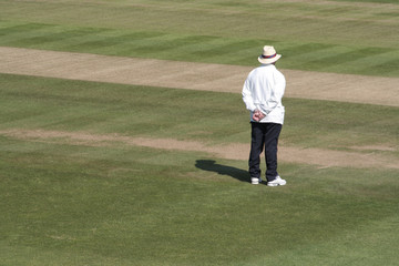Square leg cricket umpire