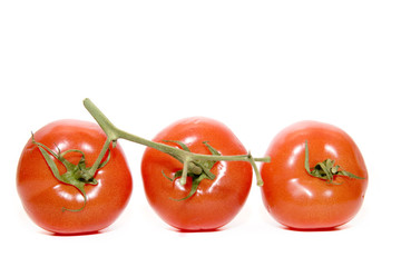 three red tomatos on the white background