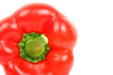red paprika isolated on the white background