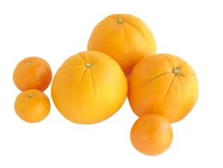 oranges and mandarines