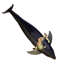 delfin 2 © juanjo