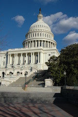 Obraz premium Capitol Building