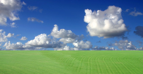 Grass and gorgeous sky panorama!