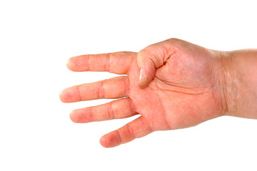 Hand isolated on a white background..