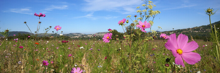 fleurs