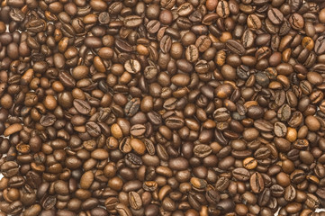 Toasted coffee beans background