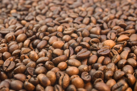 Toasted coffee beans background. Selective depth of focus