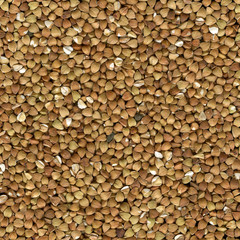 Buckwheat (kasha), toasted whole grains, background