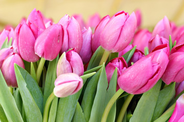 Bunch of pink tulips on a flower market