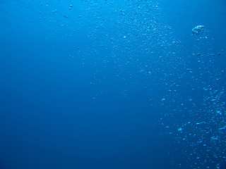 Bubbles from a scuba diver rising to the surface
