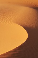 Desert