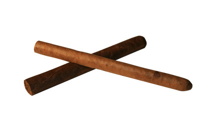 The Cuban cigar it is isolated on a white background