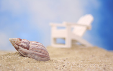 Fototapeta na wymiar Sea Shell on Beach With Chair 