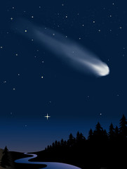Comet in the night sky over the woods