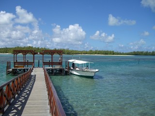 Mauritius - Ilot Mangenie (Trou d'eau Douce)