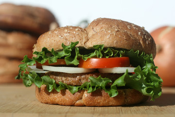 Vegetarian Soy Burger