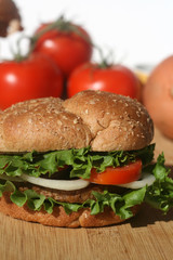 Vegetarian Soy Burger