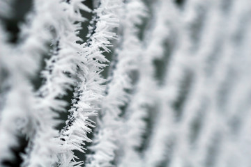 Frosty fence - winter texture