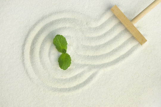 Green Leaf On Raked White Sand Of A Zen Garden