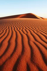 Foto op Aluminium Desert Sahara © Galyna Andrushko