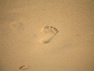 Fototapeta na wymiar Footprint in the sand Mombasa Kenya Africa.