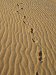 Empreintes dans le sable