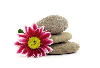 Fototapeta na wymiar zen spa stones with flowers