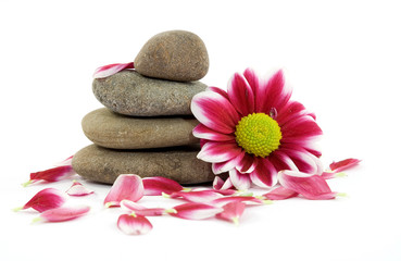 Obraz na płótnie Canvas zen spa kamienie z kwiatami