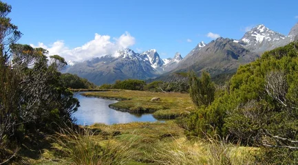Routeburn Track Panorama