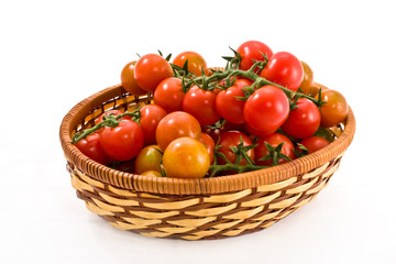 Decorative basket with branches of ripe tomatoes