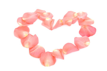 Heart shape made of pink rose petals over white