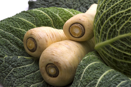 yellow radish on cabbage leaf