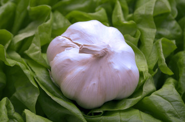 garlic on salad background