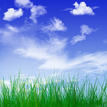 Close-up of young blades of grass with beautiful spring sky