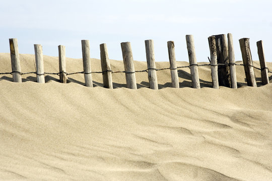 Erosion du littoral : ganivelles de protection des plages
