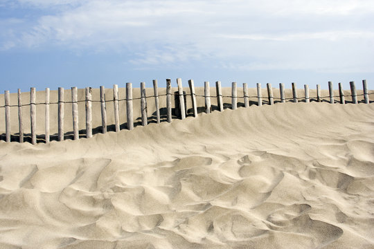Erosion du littoral : ganivelles de protection des plages