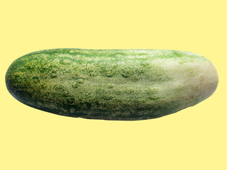 concombre détouré sur fond jaune