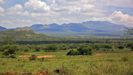 Kenya : parc Tsavos