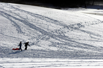 Naklejka premium winter in the countryside in denmark,people enjoying snow