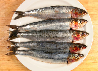 Sardines on a plate