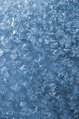 The Freezing patterns on windowpanes.