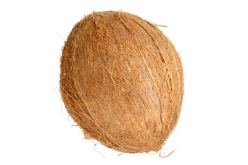 coconut isolated on white background