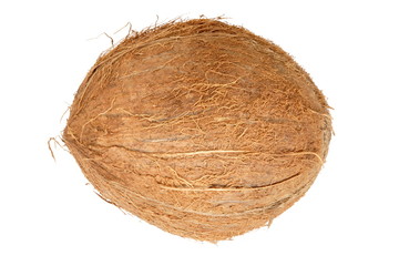 coconut isolated on white background