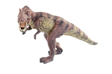 Dinosaur on the white background